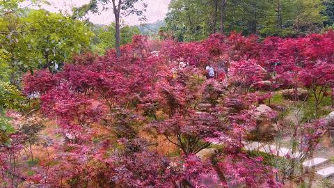 阳光正好来场户外,阳光正好去爬山