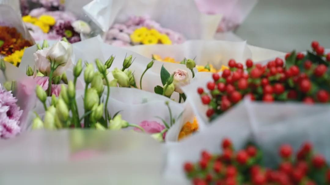 乌鲁木齐附近最便宜的花市,乌鲁木齐市花街在哪里