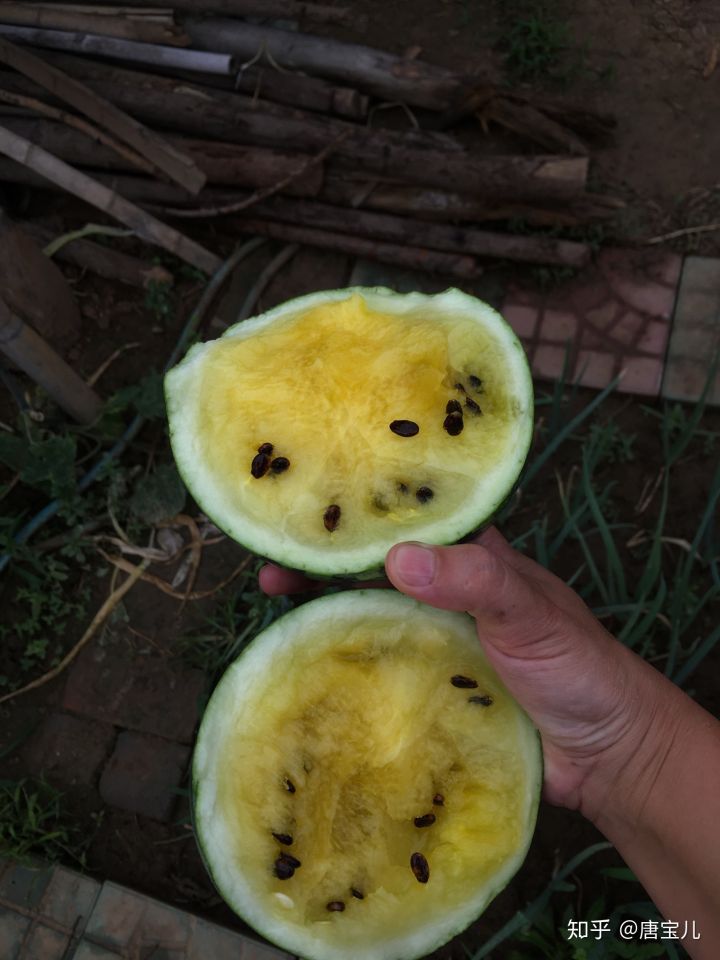 如何提升花种成活率,花种种植生活小技巧