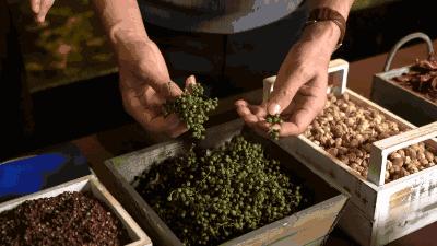 四川何氏中医骨伤科,何氏骨科怎么样