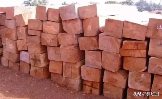 只有这七类木材才是真正的花梨木，教你火眼金睛“识花辨梨”！