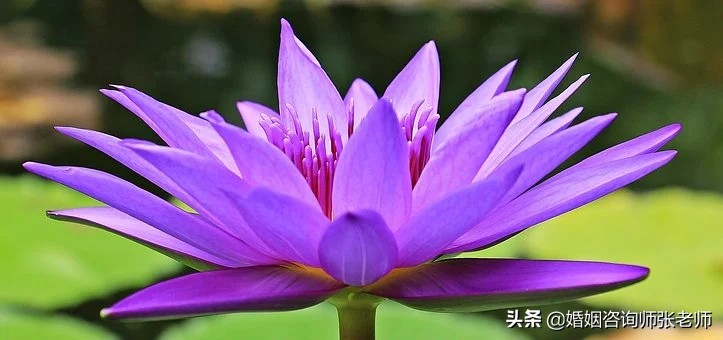 怎么挽救破裂的婚姻？千万不要死缠烂打，做到这六点胜过千言万语