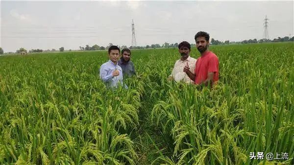 上大学学种地,上农业大学真的要种地吗