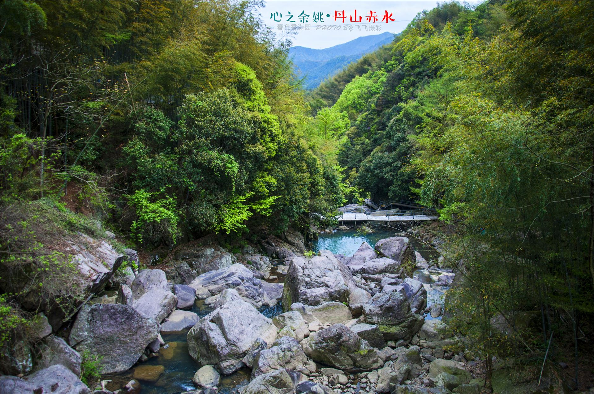 丹山赤水的老柿林景区,丹山赤水柿林古村