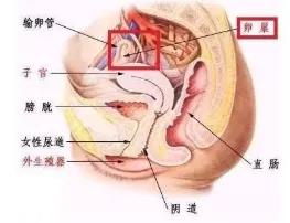 *处私**翻新、排毒养颜……这些都是专为女人设下的陷阱