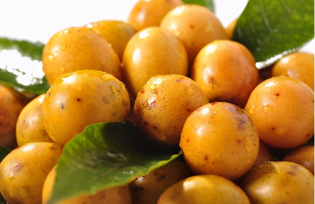 湖南人的酸枣,酸枣核是很多南方人的童年回忆