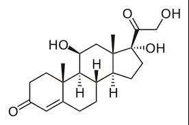玩手机时间长了脑子反应慢,长时间玩手机会变笨如何自救