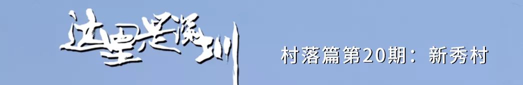 深圳新秀村南区,罗湖区新秀村