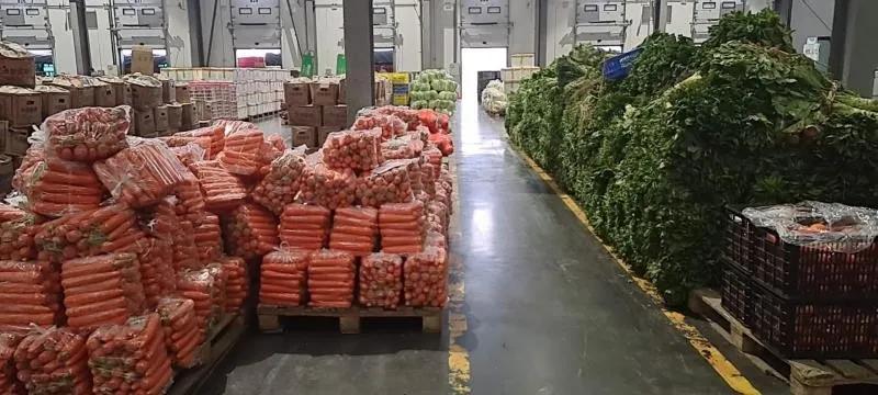 襄阳樊城区蔬菜配送,武都38元蔬菜包