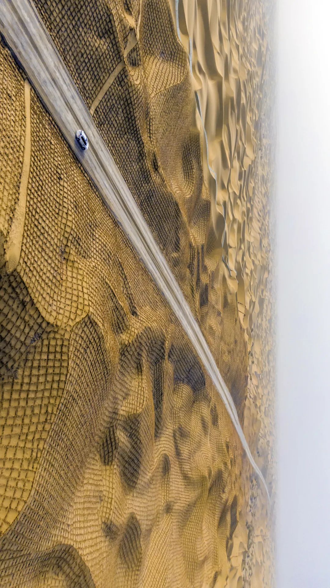 中国植树造林成果国外有什么看法,植树造林改造沙漠