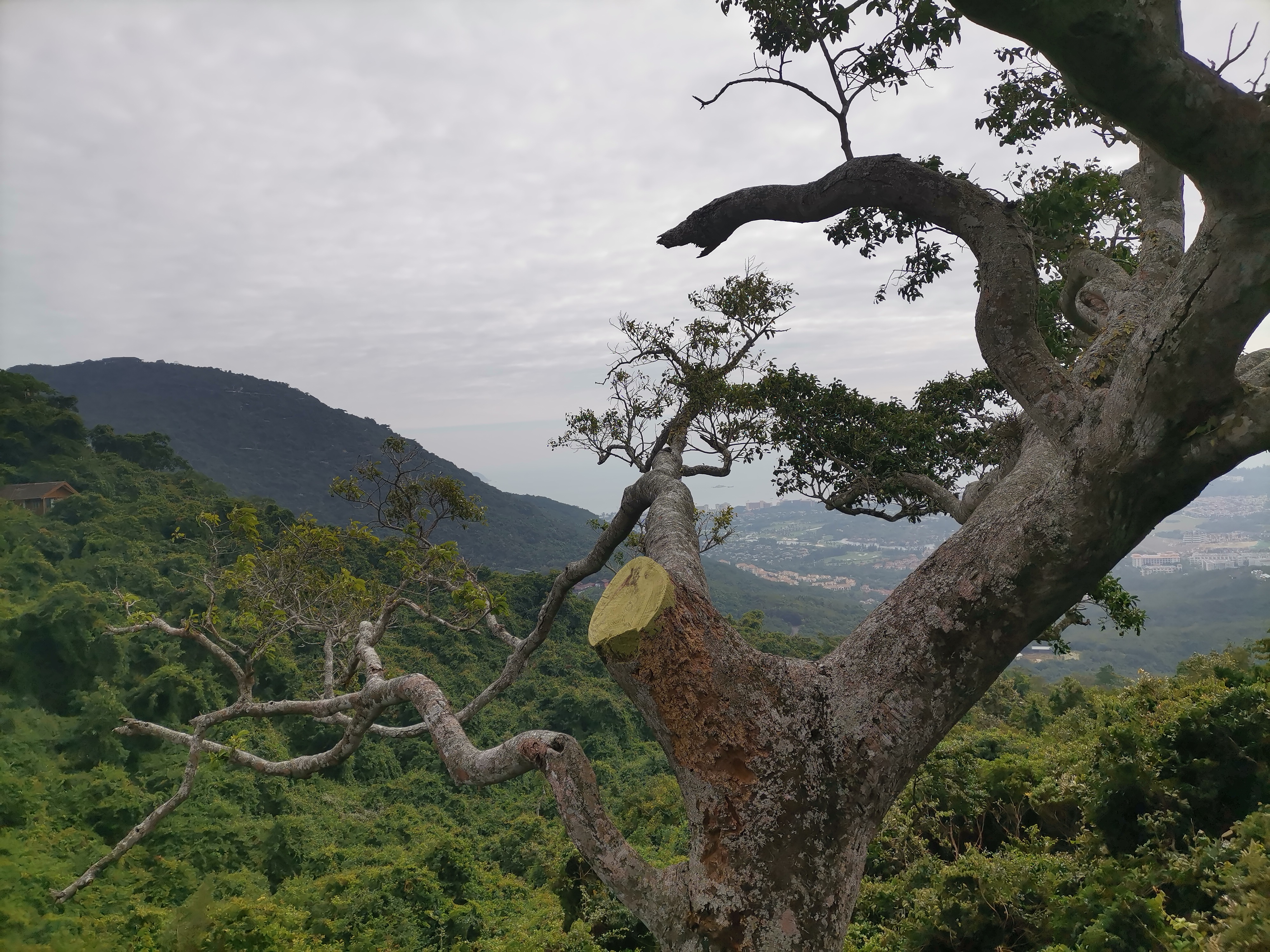 去了海南三亚,去完三亚热带森林公园可以逛哪里