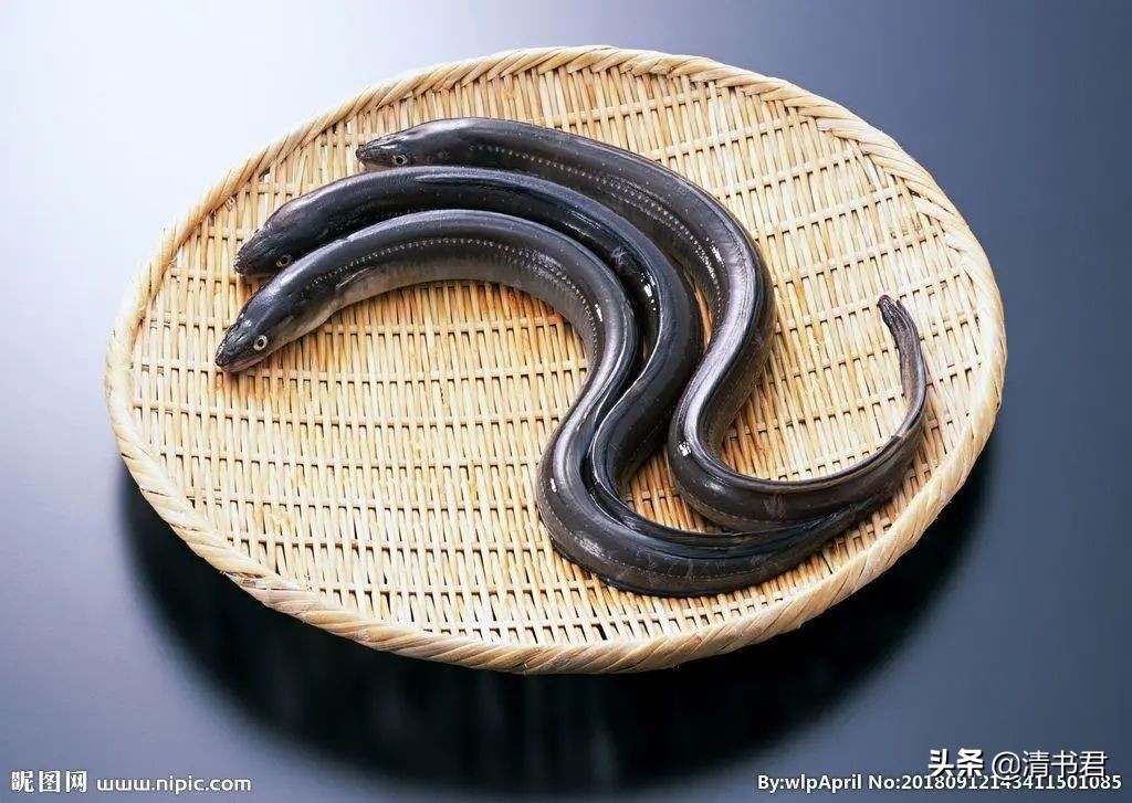 鳗鱼吃多了不舒服怎么办,鳗鱼吃不完怎么办