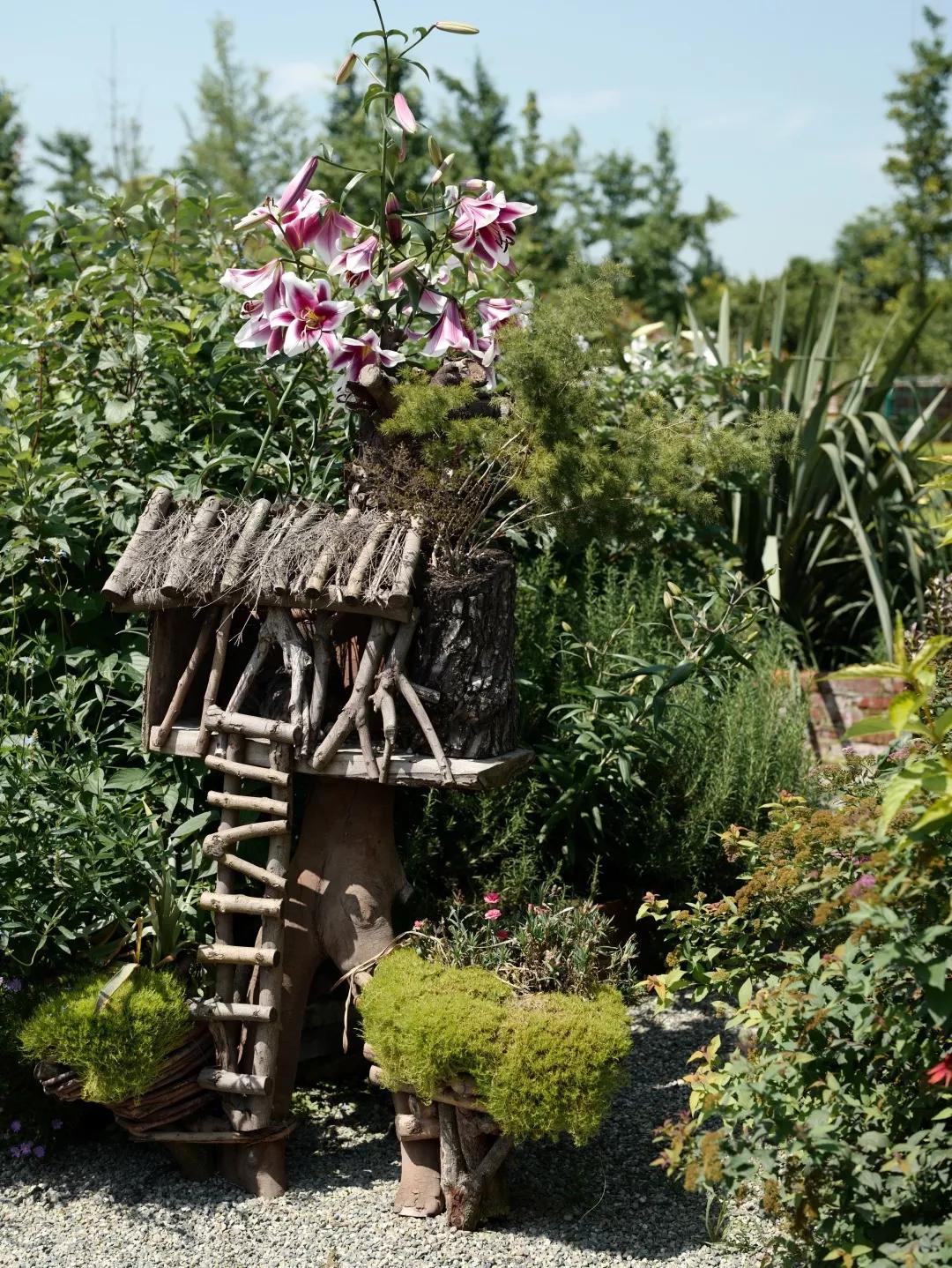 建一座完全不打药的生态花园,所有生命在这里和谐共处,值得收藏