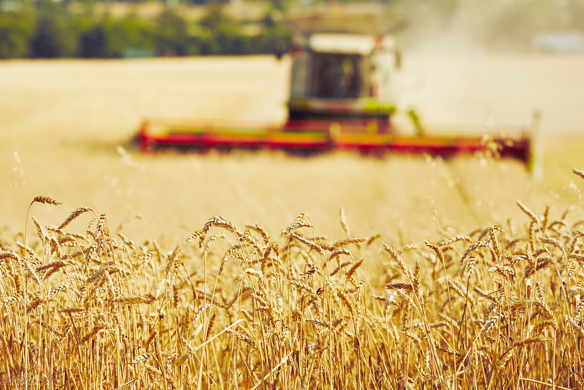 20大重大项目落户佛山,广东佛山重点项目清单2024