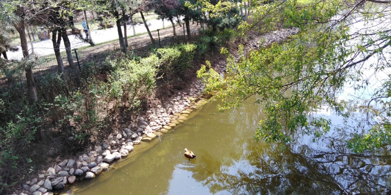 沈阳长白岛森林公园一日游攻略,长白岛森林公园五一