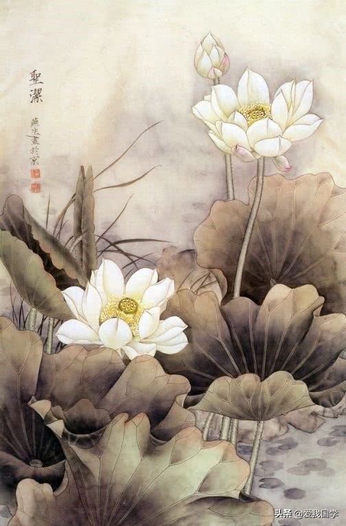 古今有关咏莲的诗词名句,咏莲的诗句唯美