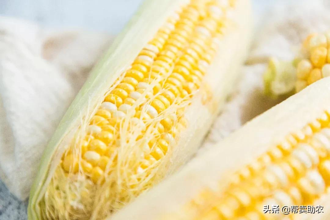 爆浆糖心水果玉米,如何挑爆汁甜的水果玉米