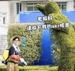 双11光棍节脱单绝招,双十一败家娘怎么管理