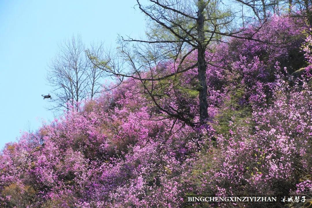寻找中国最美的春季,探寻中国最美秘境