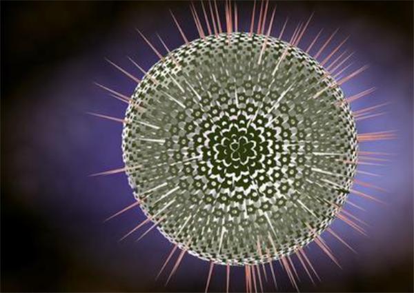 手上汗疱疹反复复发怎么办,手上汗疱疹反复发作怎么办