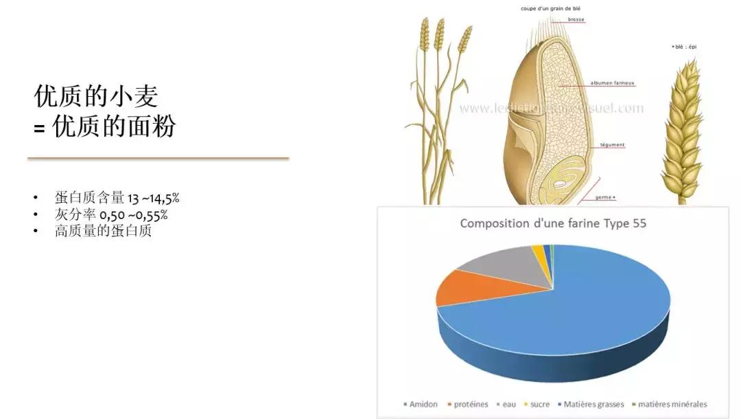 六国面包师的华山论剑,烘焙人最感兴趣的技术秘诀、开店运营