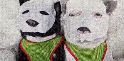 日系面膜推荐,适合干皮的日系面膜