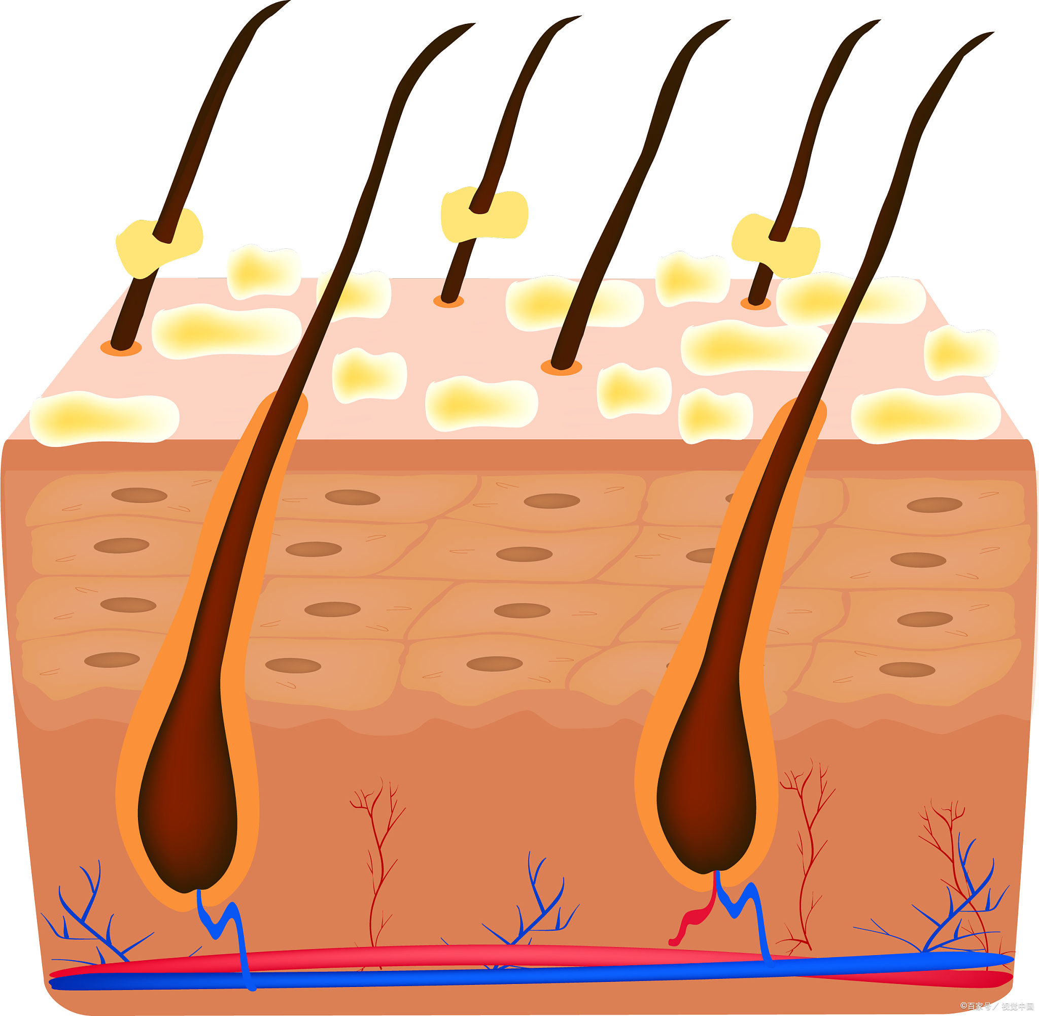 品牌护肤套装,护肤套装哪个品牌的好用又实惠