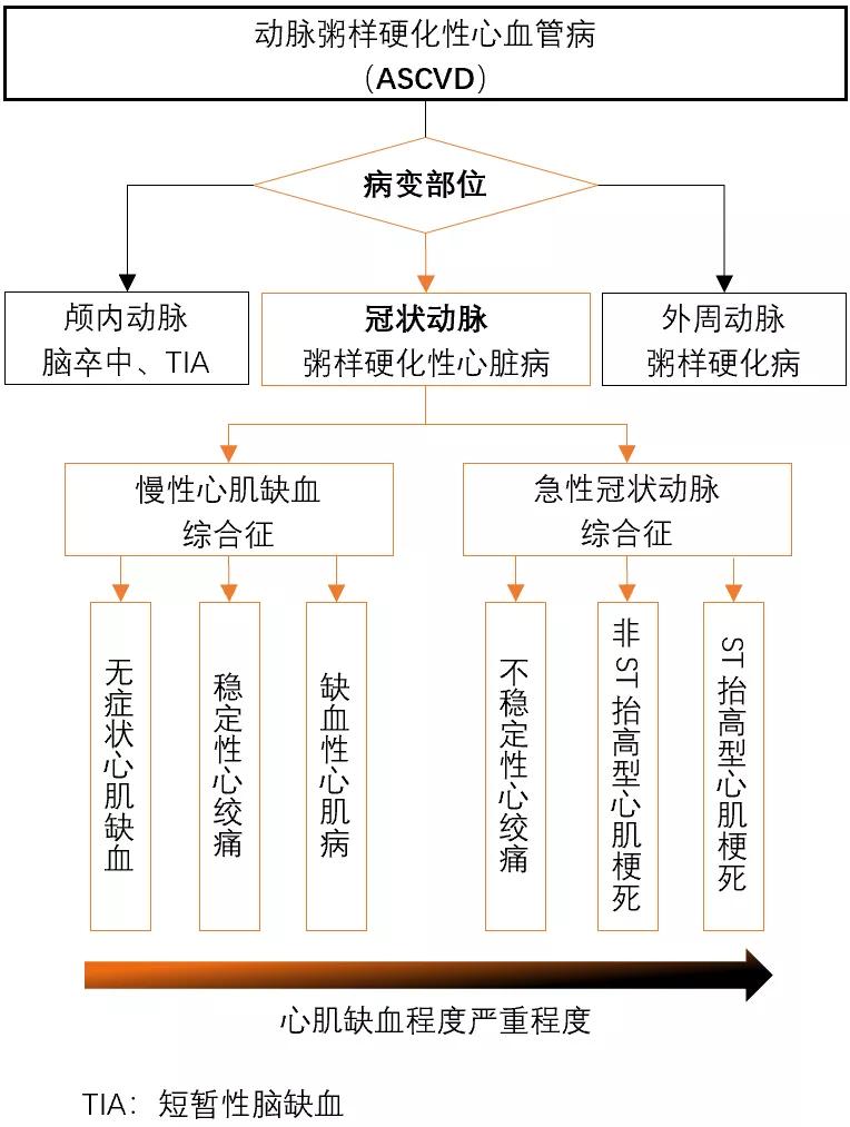 冠心病室性早搏治疗药物,冠心病常用的药物治疗有哪些