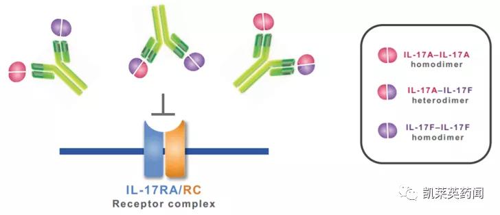 目前治疗银屑病最好的生物制剂,全球最新银屑病新药