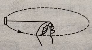 八年级重力的易错题,八年级下册物理重力三要素