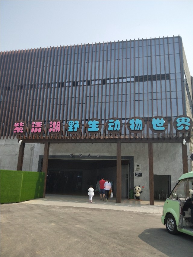 南京紫清湖野生动物世界春节,紫清湖野生动物世界飞越金陵