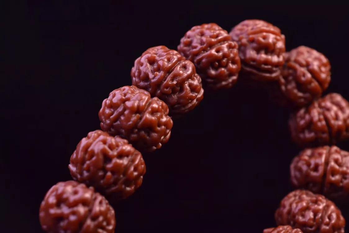 老树王单圈小金刚搭配,老树王小金刚单圈谁家好