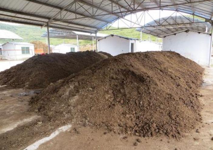 河北腐熟鸡粪有机肥的简单方法,鸡粪怎样发酵最简单要掺土吗