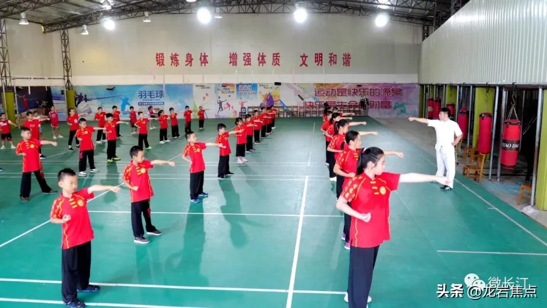 不断提升农产品附加值,闽西长汀县槟榔芋基地