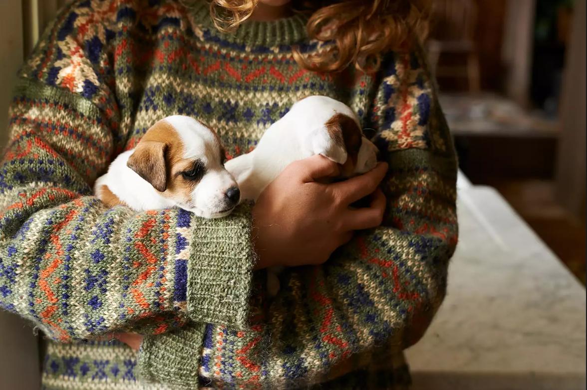 养两只狗的好处,养两只狗的优点和缺点