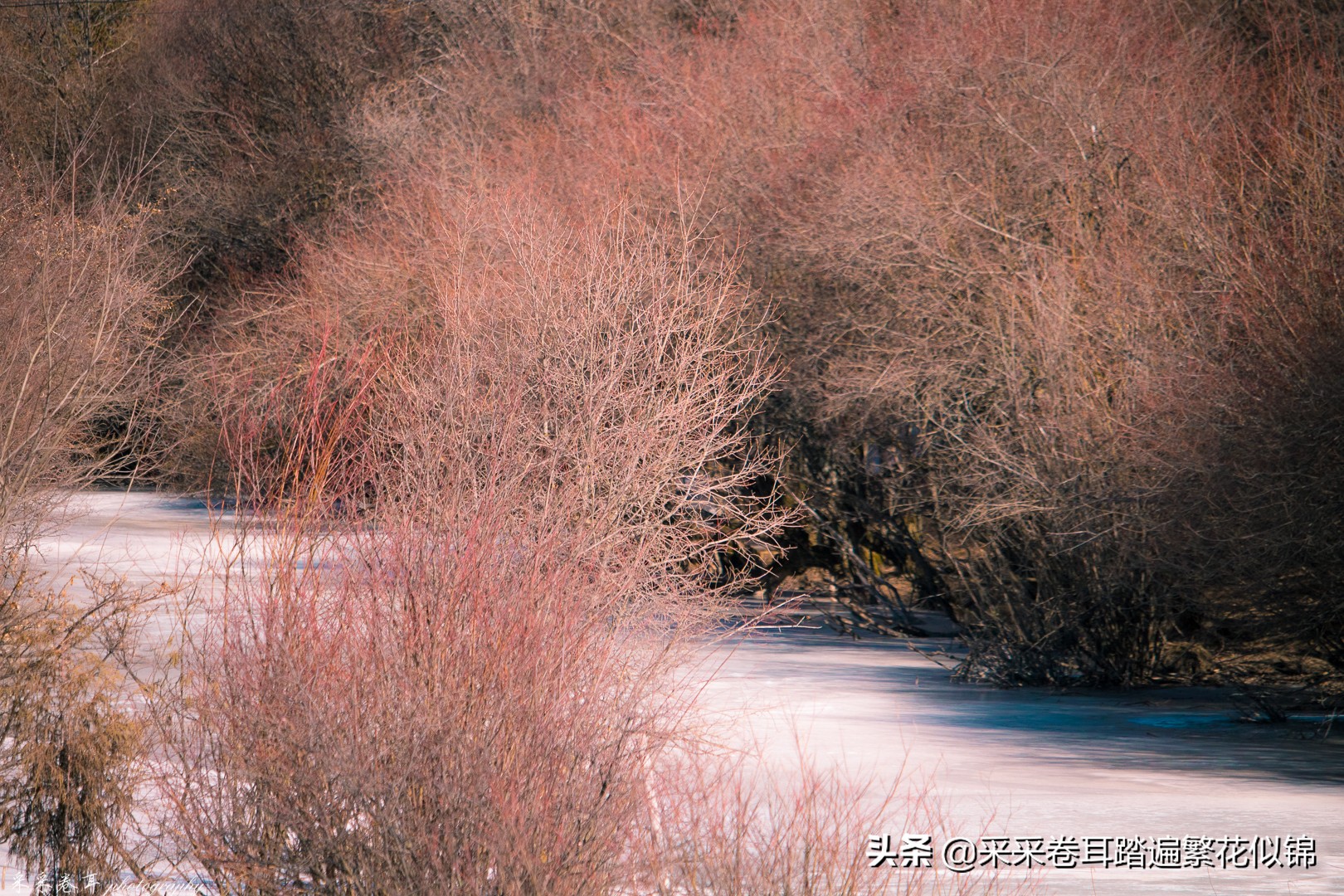 九寨沟自驾达古冰川,6月汶川毕棚沟旅游攻略