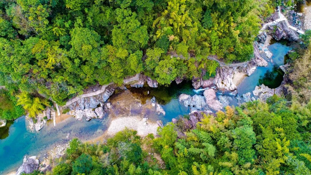 惠州适合亲子游的宝藏胜地,惠州宝藏打卡地