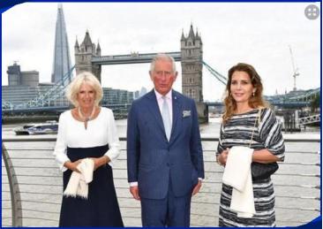 迪拜王妃离婚视频完整版,迪拜王妃为什么会离婚