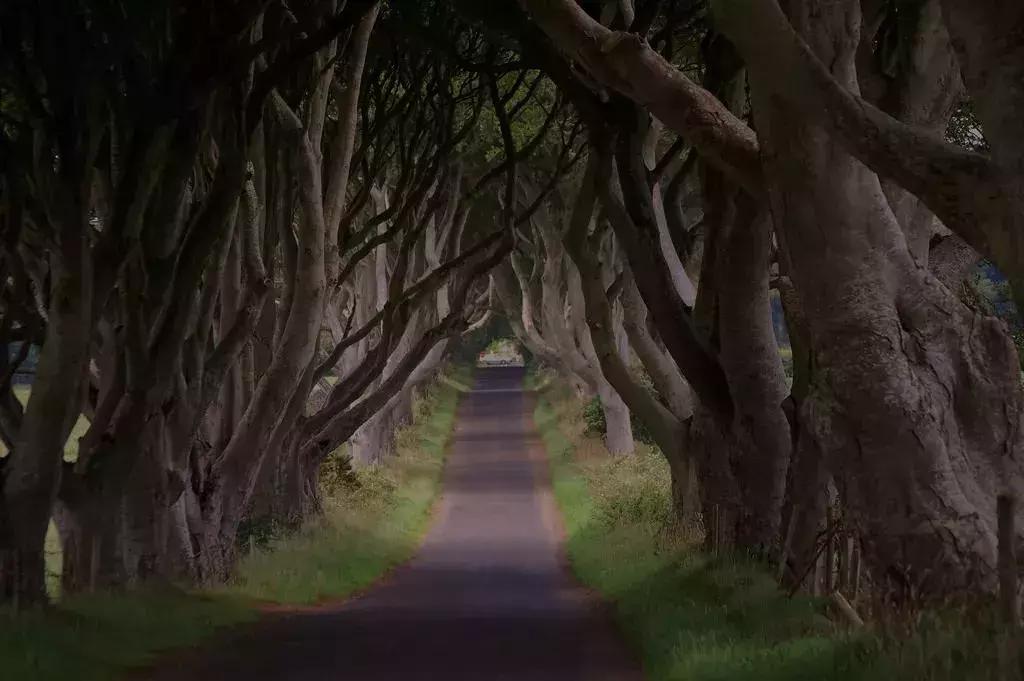 权力的游戏中的绝美风景图片,权力的游戏取景地