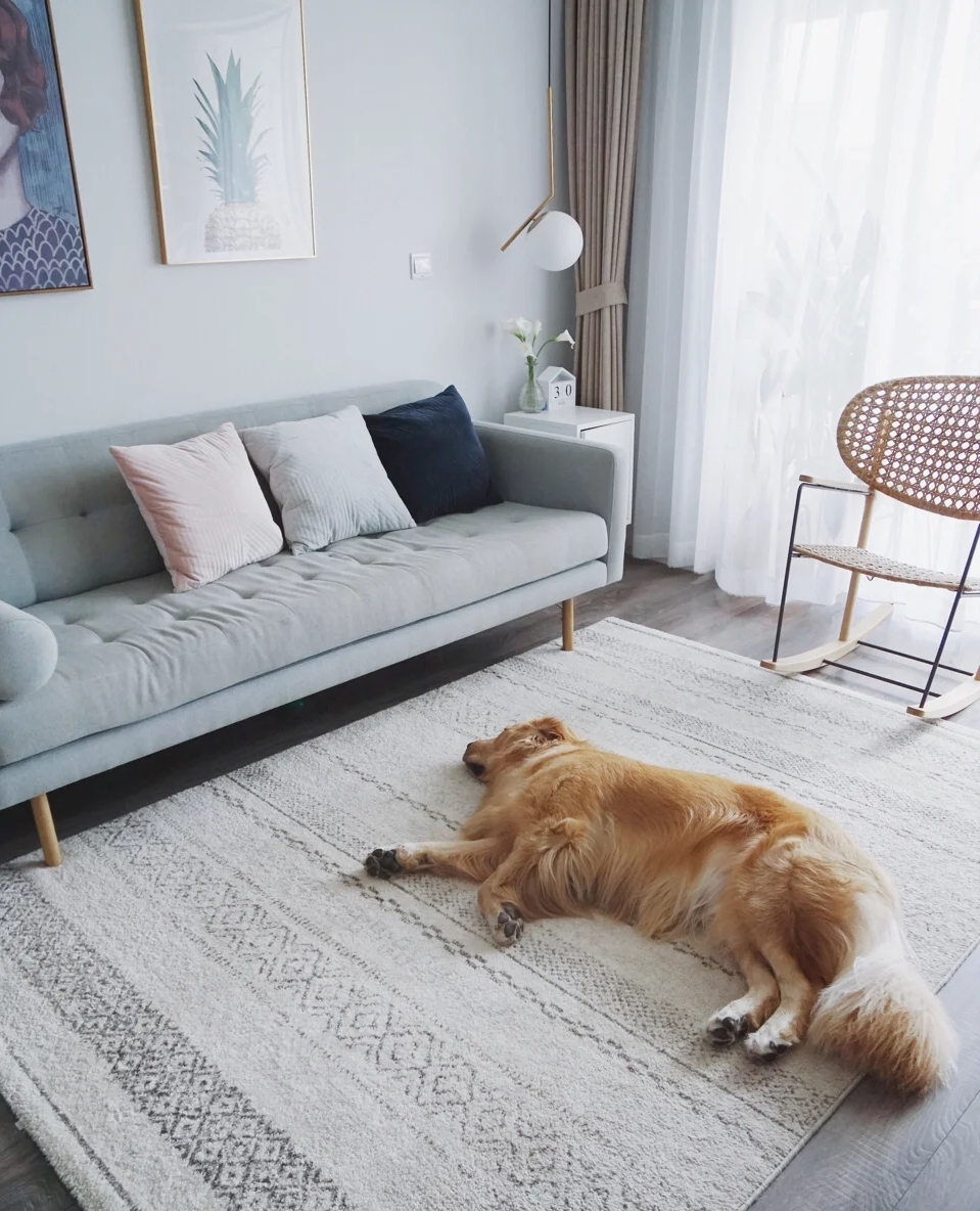 茶几地毯尺寸如何选择才完美,买地毯选尺寸