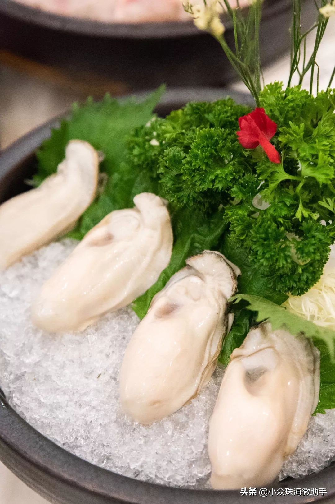 人均40的网红小火锅,网红小火锅吃的人多不多