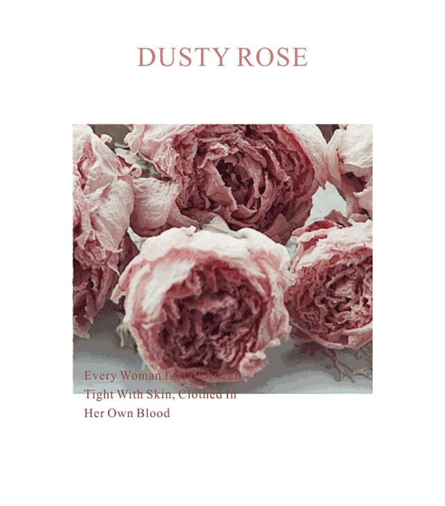 冬季新品｜DUSTYROSE，充满着复古柔情气派