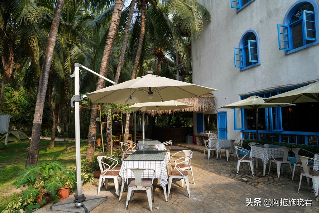 漫步其中尽享清新惬意,漫步海边椰林