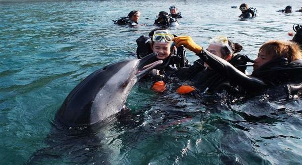 三亚美食攻略必吃排行榜,三亚南海文化旅游区美食攻略