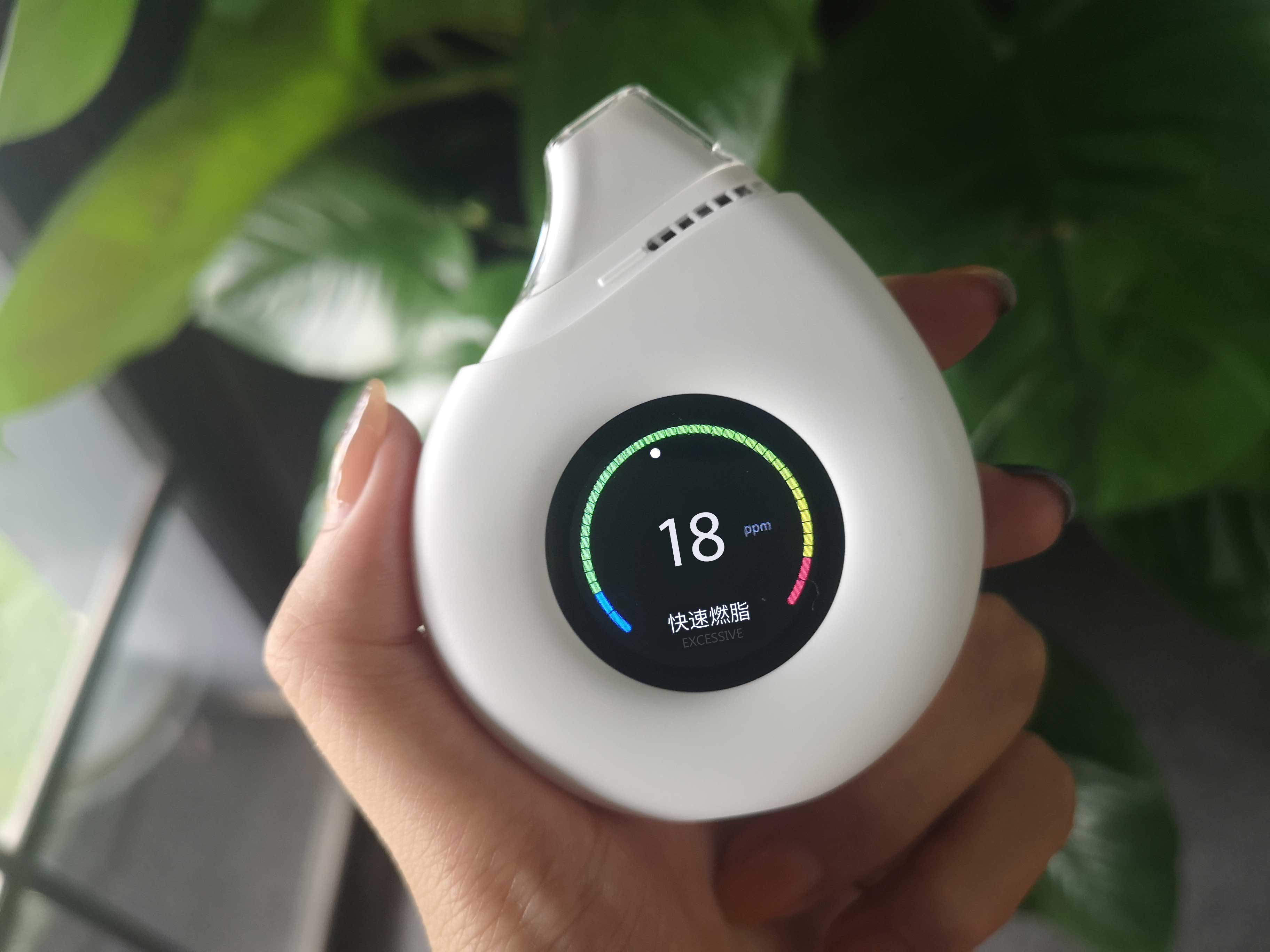 生酮减脂大法,生酮减脂实验