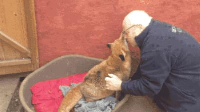 15岁怀孕的她，被骗吃下*药炸**，无辜去世：生而为人，有些人却不配