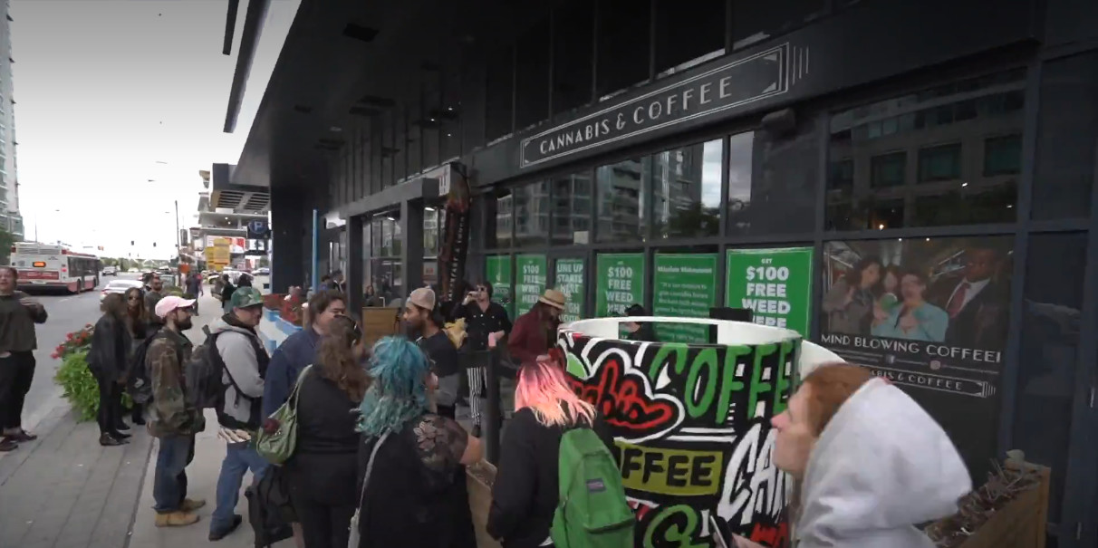 加拿大油菜籽出口滞销,加拿大大麻滞销