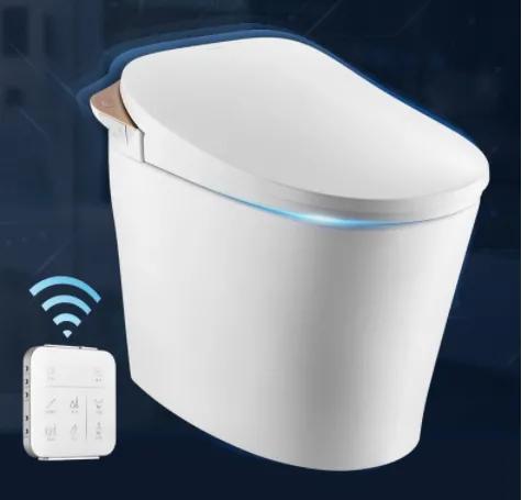 松下智能马桶爱乐诺,智能马桶美标和摩恩哪个好