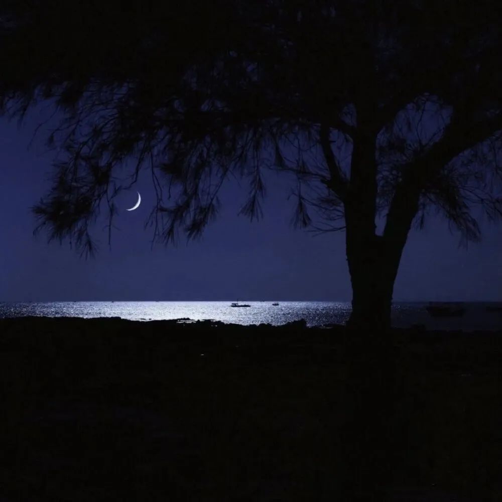 伤感到绝望的背景图,到此为止了的伤感背景图