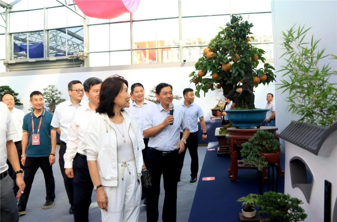 中国沭阳国际花木城在哪个城市,沭阳花木城的发展